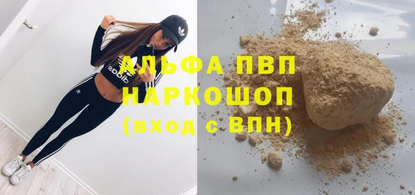 стаф Алзамай