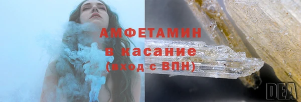 стаф Алзамай