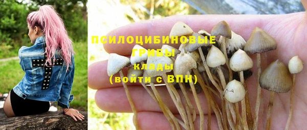 a pvp Абдулино