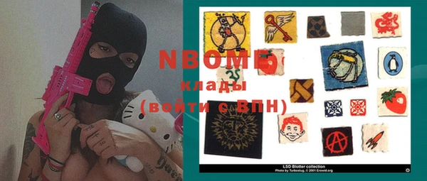 стаф Алзамай